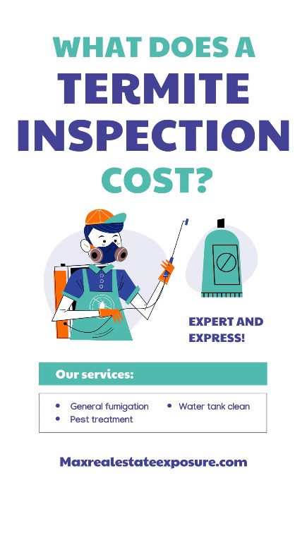 Termite shop inspection cost